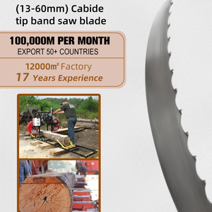 Yatay makinelerde kullanım için endüstriyel performans bandı testere bıçağı karbür uçlu ve OEM özelleştirilebilir - Product Image 5
