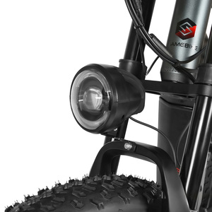 Eu rts מהירות מהירה 4*250w הידראולי דיסק בלם הר אופניים חשמלי mtb