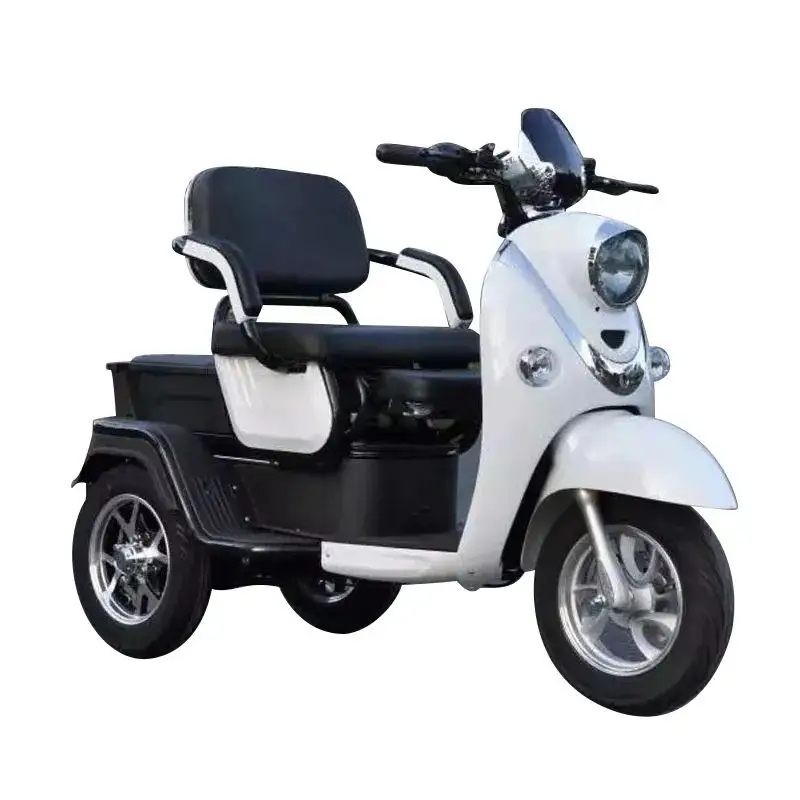 Sepeda listrik roda tiga 1000W, pengiriman sepeda listrik 3 roda untuk dewasa