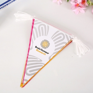Banderín triangular de PVC de colores al por mayor con diseños personalizados para colgar al aire libre - Product Image 2