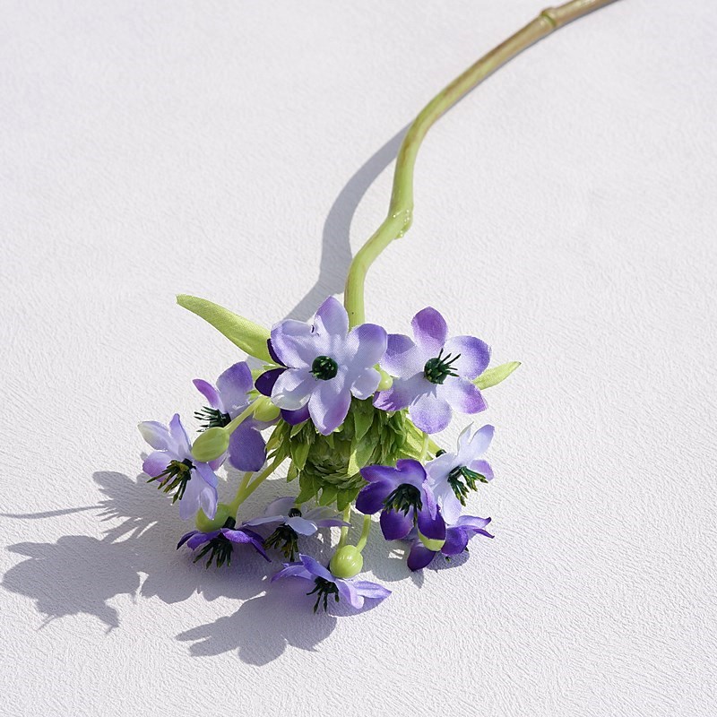 Pourpre