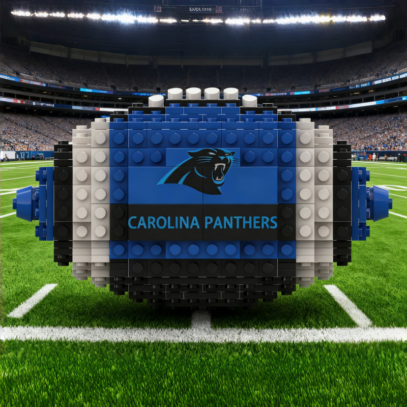Football - Carolina Panthers