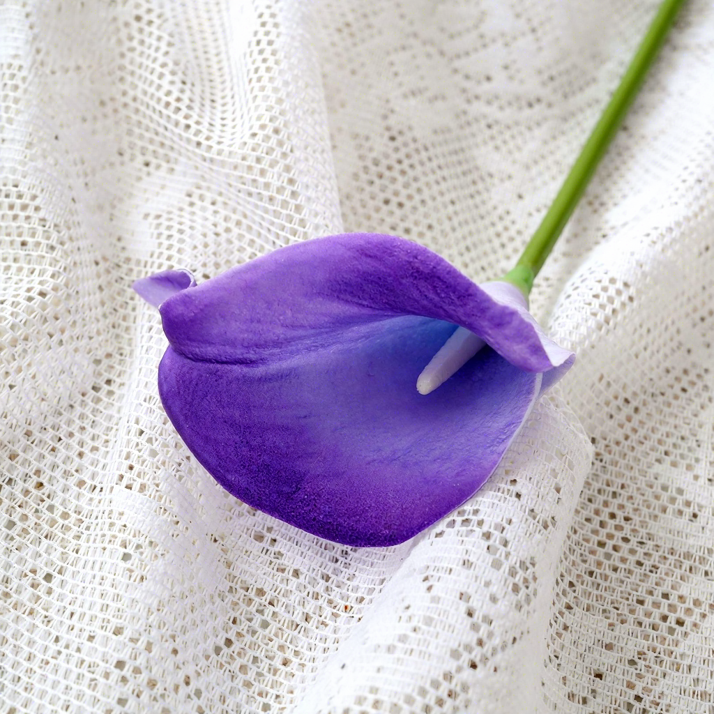 Roland morado