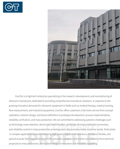 Ultrasone Gasstroomsensor Hoge Nauwkeurigheid Transducer Voor Rookgasbewaking - Product Image 3