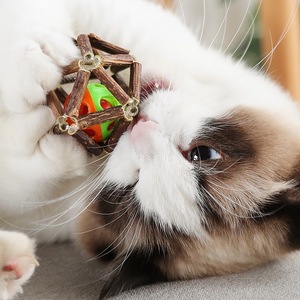 Low MOQ Factory Direct Interactive <strong>Cat</strong> Toy Ball with Bell Gall Fruit <strong>Catnip</strong> Silvervine Matatabi Stick Natural Teeth <strong>Cat</strong> Chew Toy - Product Image 6