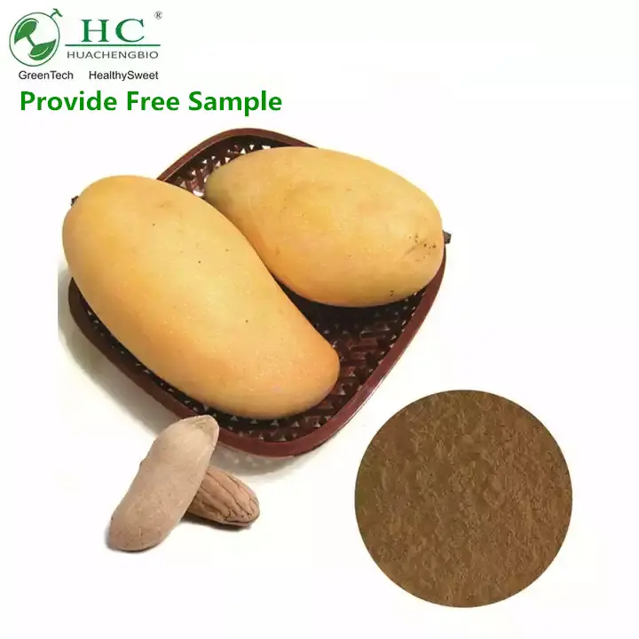 Extracto de semilla de Mango Seco africano, GMP, ISO, mangiferina, 10-30%