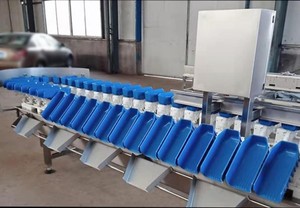 Automatico Peso Ordinamento Macchina/Macchina di Smistamento in Peso Per Il Pollame - Product Image 3