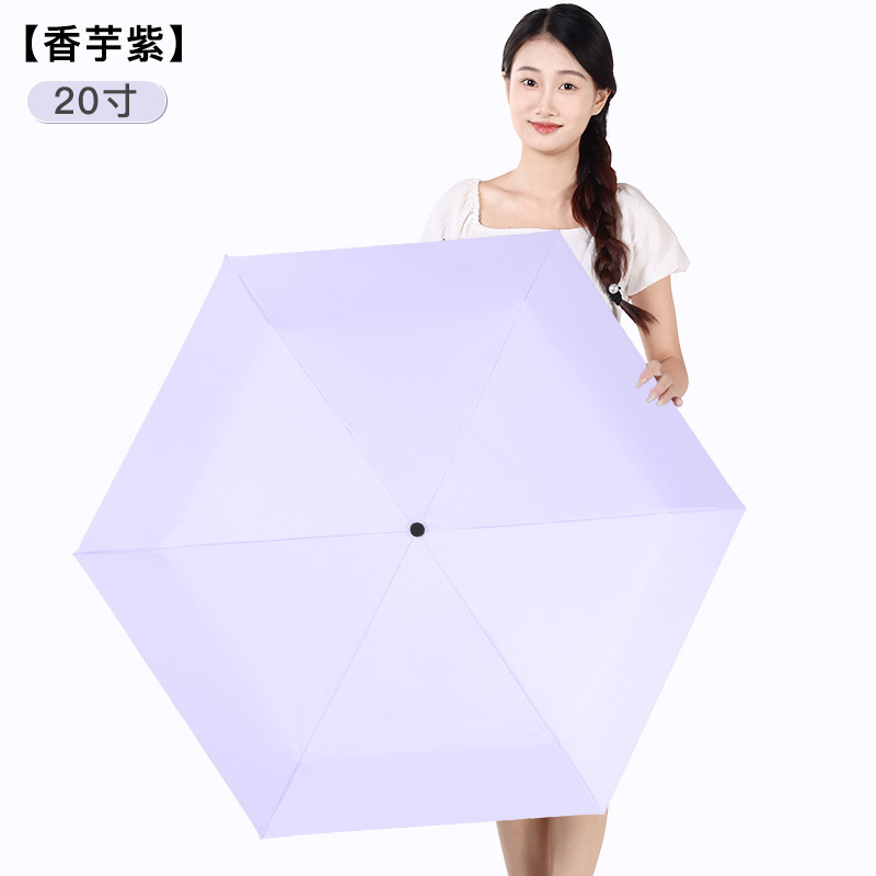 Taro violet-20 pouces