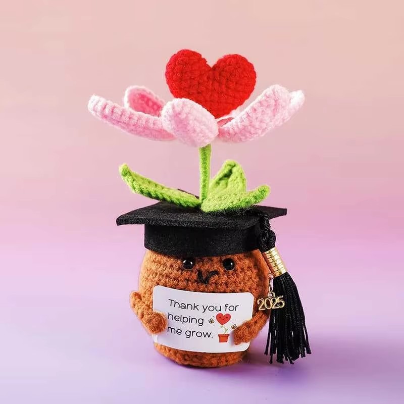 Everlasting flower hat deep basin