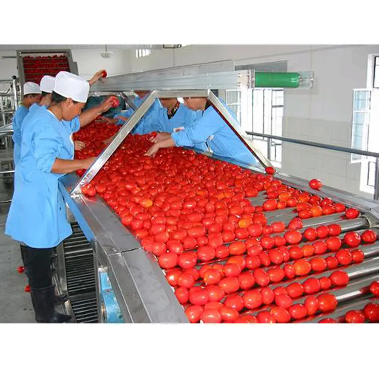 Nouvelle ligne de production de concentré de pâte de tomate/ligne de production de concentré de tomate à vendre