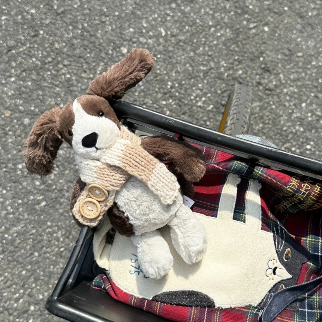Timido spaniel spagnolo