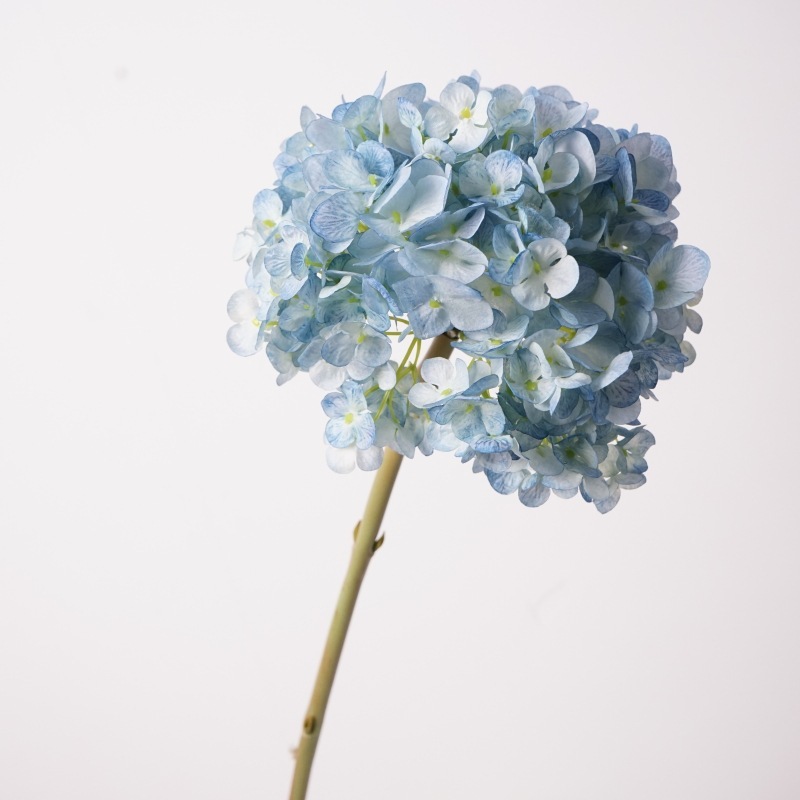 Ortensia olandese ramo grande-blu