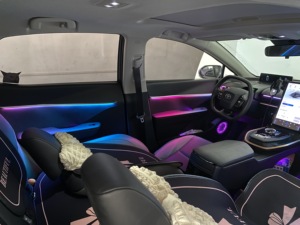 For Toyota Bz3 Color RGB Dynamic Interior Lights Wireless Application Control Environment Atmospheric Automotive LED Light Kit - Product Image 5