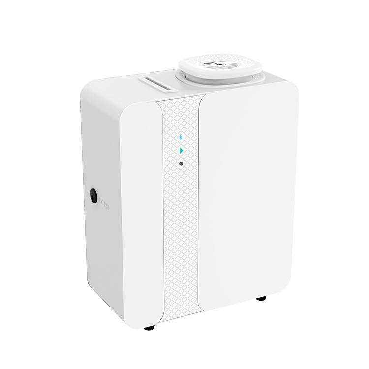 White(Regular)