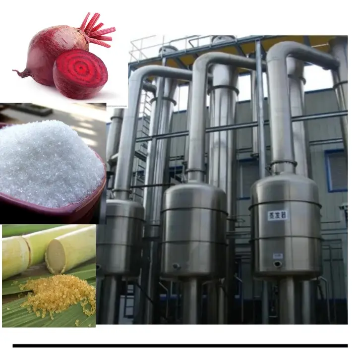 China açúcar branco marrom fábrica planta de cana-de-açúcar processamento fazendo máquina Linha De Produção De Processamento De Beterraba Açúcar