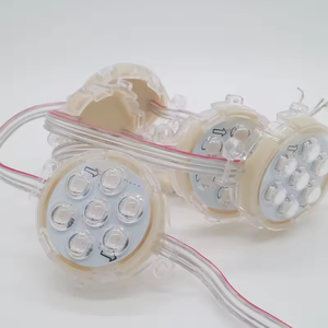 Hot Selling <strong>LED</strong> <strong>Pixel</strong> <strong>Module</strong> Addressable 50mm 24V RGB <strong>Pixel</strong> <strong>LED</strong> IP67 Waterproof for Landscape Lighting Project - Product Image 4