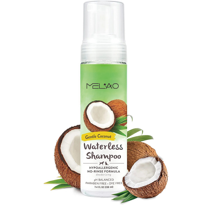 shampoing sec pour animaux de compagnie