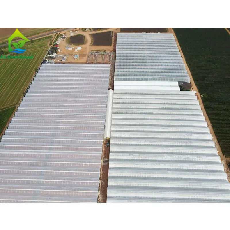 農業フープ温室20-100m商業経済トンネルプラスチックフィルムトマト温室