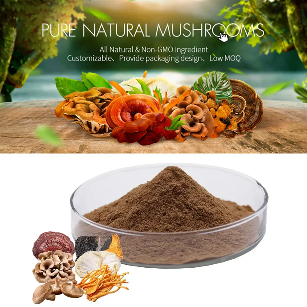 EU & USDA hữu cơ pha trộn sư tử bờm Đông Trùng Hạ Thảo Shiitake maitake Reishi Chaga nấm chiết xuất bột