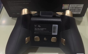 Flydigi APEX 4 BT kablosuz oyun denetleyicisi için buhar güverte PC TV Elite Gamepad özel baskı Mythical tema denetleyici - Product Image 5