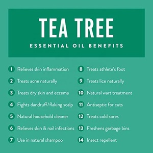Bulk Private Label Raw Essential Oils 100% Pure <strong>Therapeutic</strong> Grade Facial Oil Tea Tree Oil for Shampoo <strong>Soap</strong> Making - Product Image 2