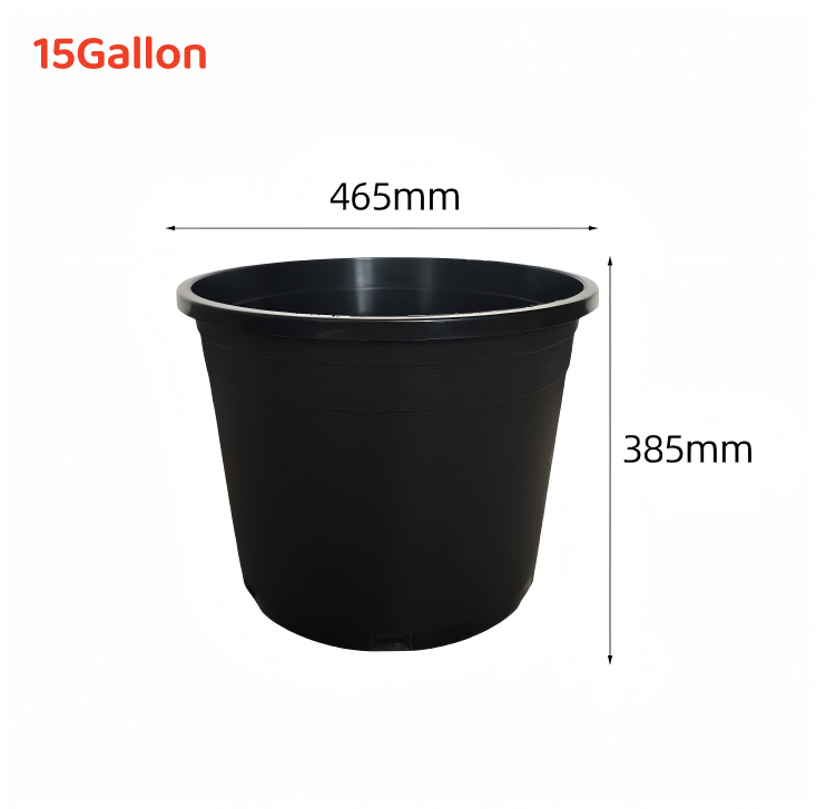 15gallon