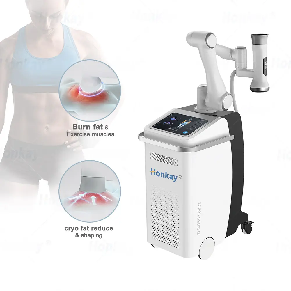 Grasso riduce il congelamento della pelle pancia gamba perdita di peso usa spa salon vendita calda smart ems body sculpting machine