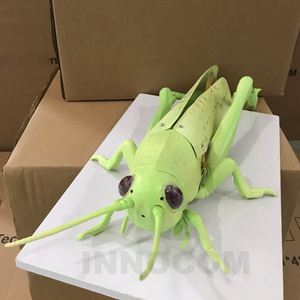 מודל לוקוסט 3D בעל חיים מודל לוקוסט חינוכי מודל אימון pvc עבור מדעי הרפואה מודל לוקוסט