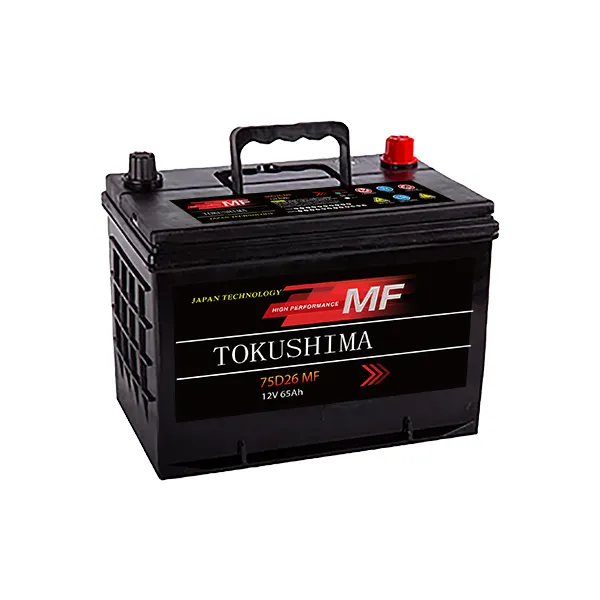 MF 12V batteria di accumulo di energia 75 D26R materiale di piombo sigillato tipo per Golf cart barche elettrodomestici per auto custodia batteria