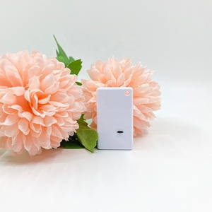 Bluetooth Indoor Positioning System Beacon Device Cost-Effective Communication &amp; <strong>Networking</strong> Product - Product Image 5