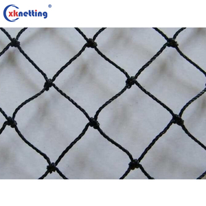 25' X 25' Professional Bird <strong>Netting</strong> 3/4inch Mesh for Sparrows, <strong>Swallows</strong> and Small Birds, Bird Control <strong>Netting</strong> for Balconies - Product Image 2