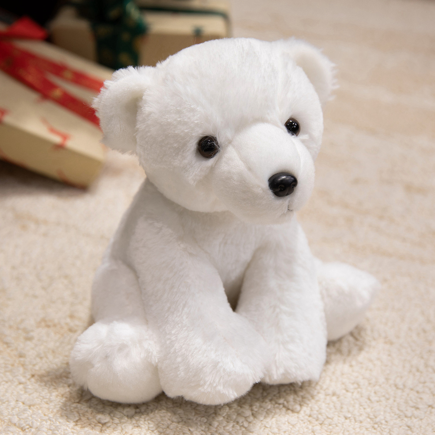 Petit ours