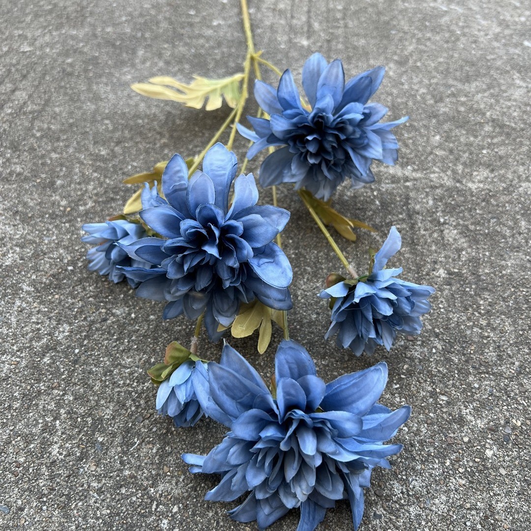 Bleu Poussiéreux, 6 dahlias bleu foncé de fin d'automne