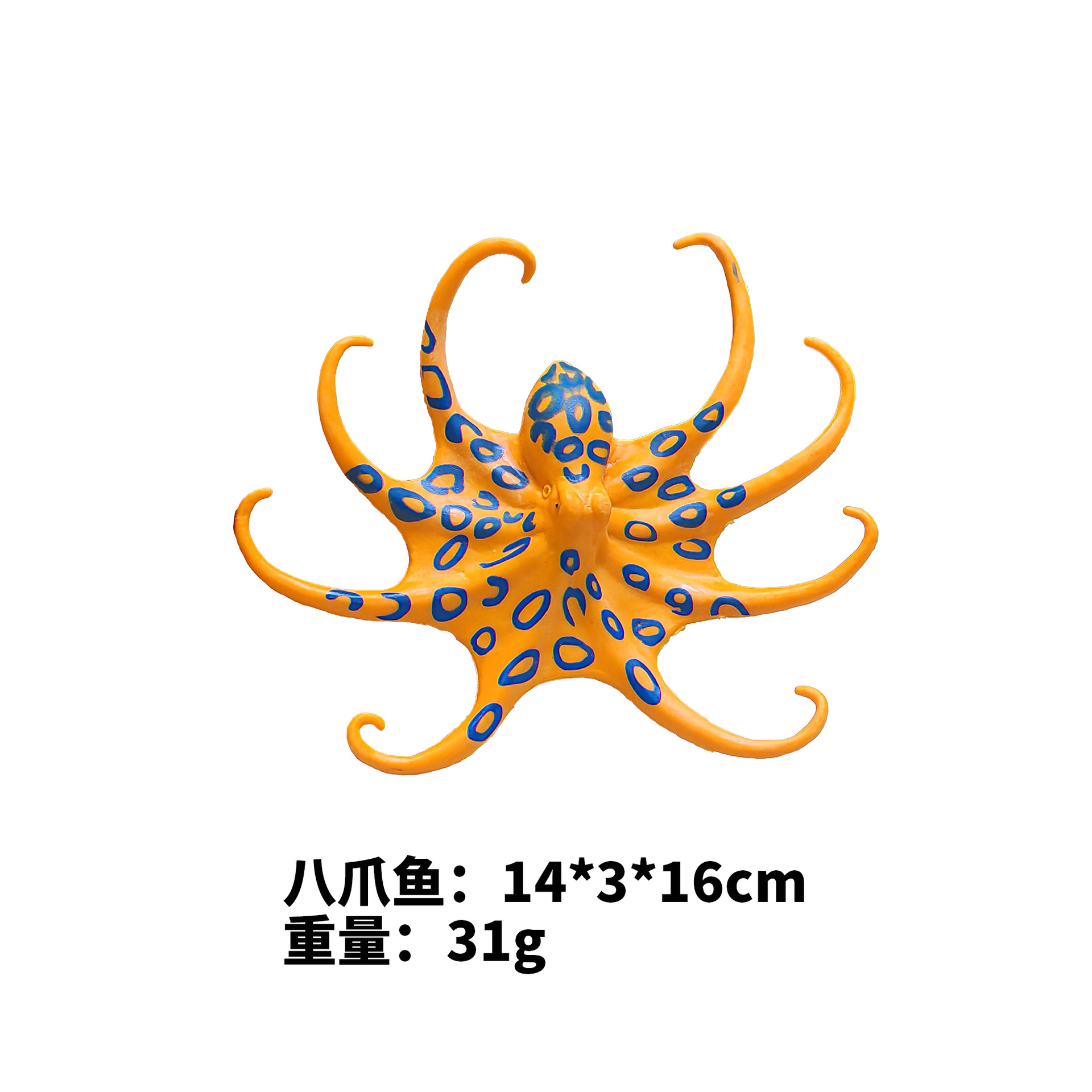 Octopus