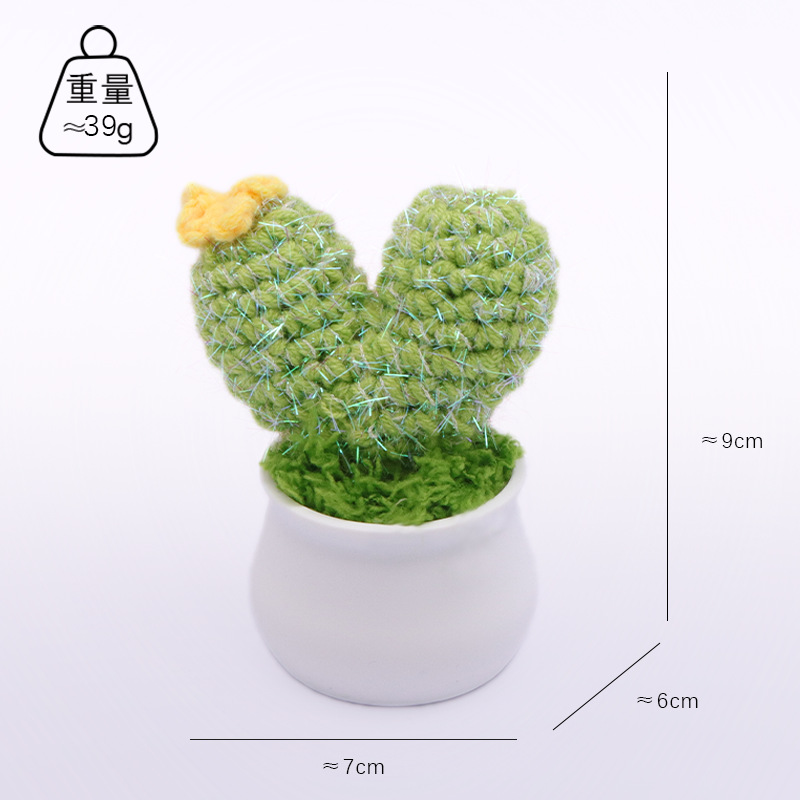 V-shaped cactus and succulent potted plants