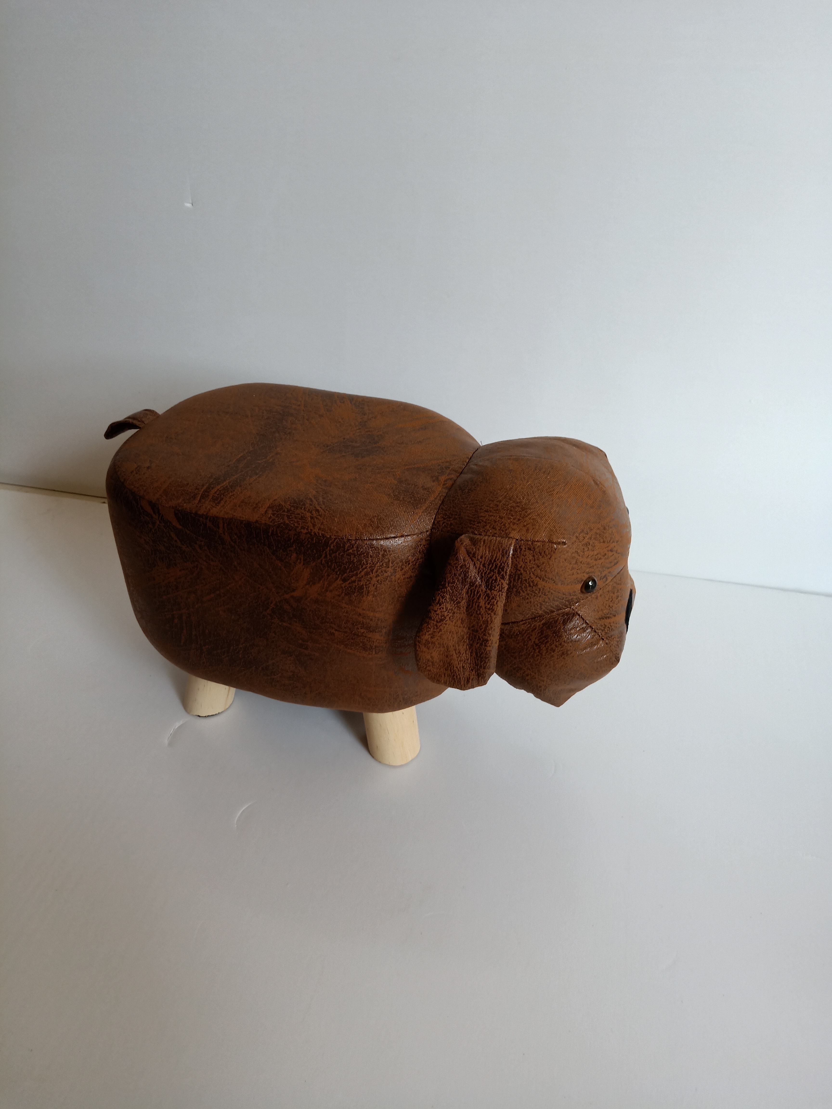 Brown dog
