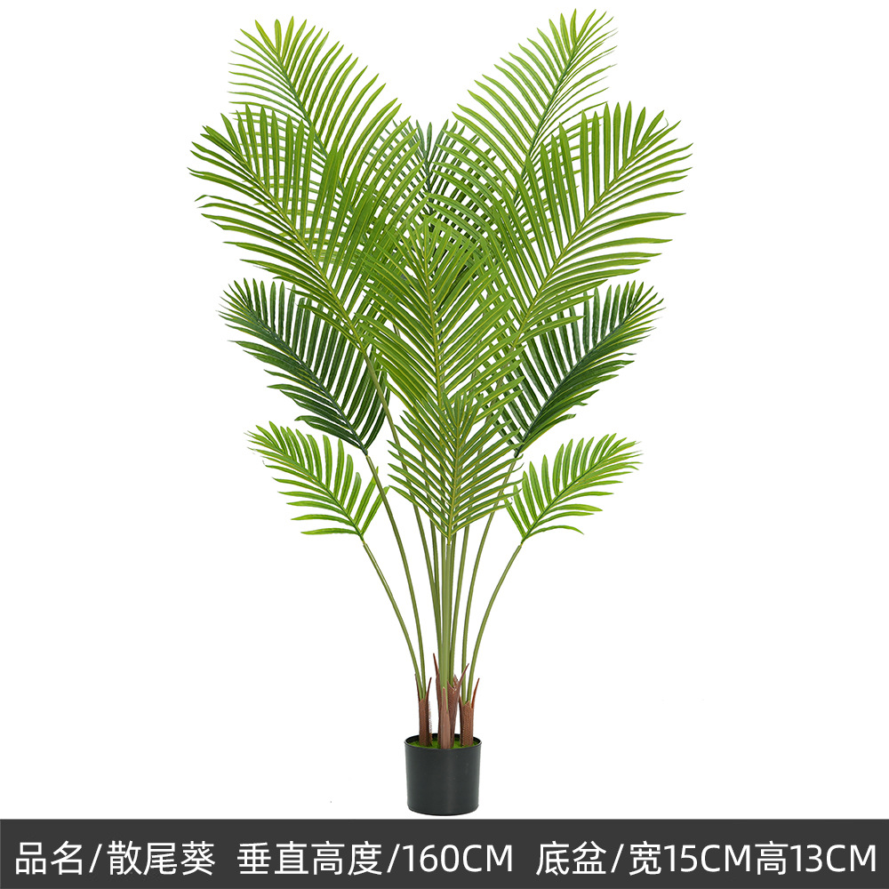 160cm new sanwei kwai, b