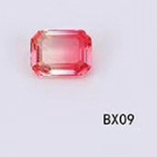 BX09