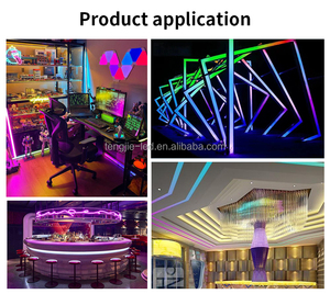 Fabrika ws2812b led şerit kontrol ws2812b bireysel adresli rgbic led şerit açık led uzun şerit güneş için - Product Image 6