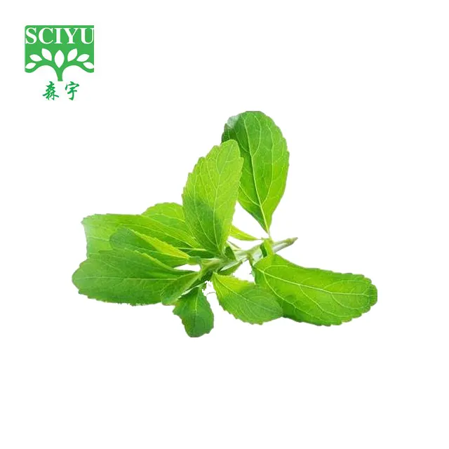 Dolcificante Stevia all'ingrosso estratto di Stevia polvere di Stevia naturale al 100%