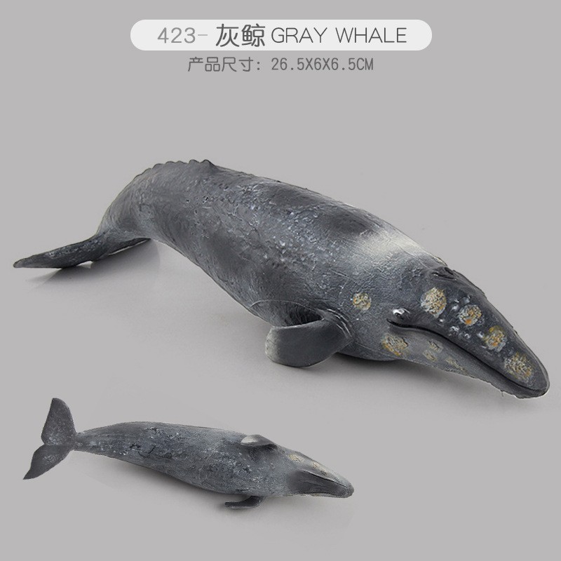 PL127-423 Baleine grise 365g