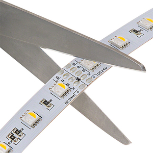ベストセラー屋内LEDライト大画面テレビLEDストリップライトIP20 12v 24v 60leds 4 in one 5050 RGB LEDストリップライト - Product Image 6