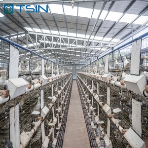 Tsin Thiết Kế Thực Tế Gió Tuyết Kháng Đẹp An Toàn Kết Cấu Thép Đơn Giản Cài Đặt Gà <span class=keywords><strong>Coop</strong></span> Công Ty Cho Trang Trại Nhà - Product Image 6