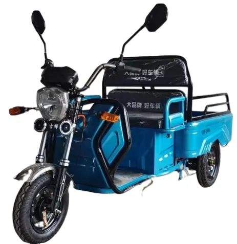 Sharefer fabrika doğrudan satış 60V 800W elektrik moped yetişkinler üç tekerlekli motosiklet elektrikli kargo üç tekerlekli bisiklet