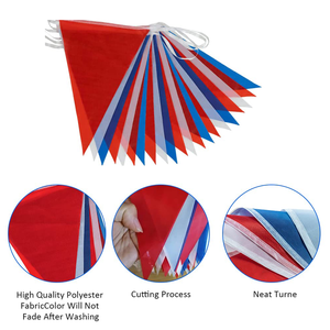 Hot Selling Decorative Colored Polyester <strong>Triangle</strong> Pennant <strong>String</strong> Lgbt Gay <strong>Flag</strong> <strong>Bunting</strong> <strong>Flags</strong> - Product Image 6