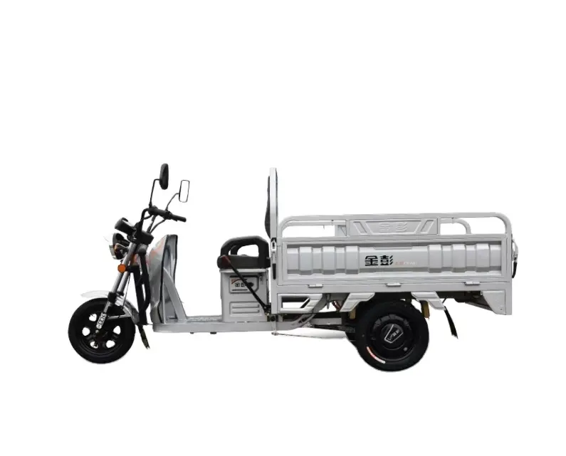 Prezzo basso e alta qualità a lunga distanza con carico pesante e forte resistenza triciclo elettrico merci made in China