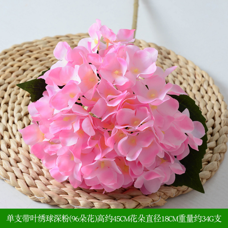 Hortensia avec feuille poudre profonde