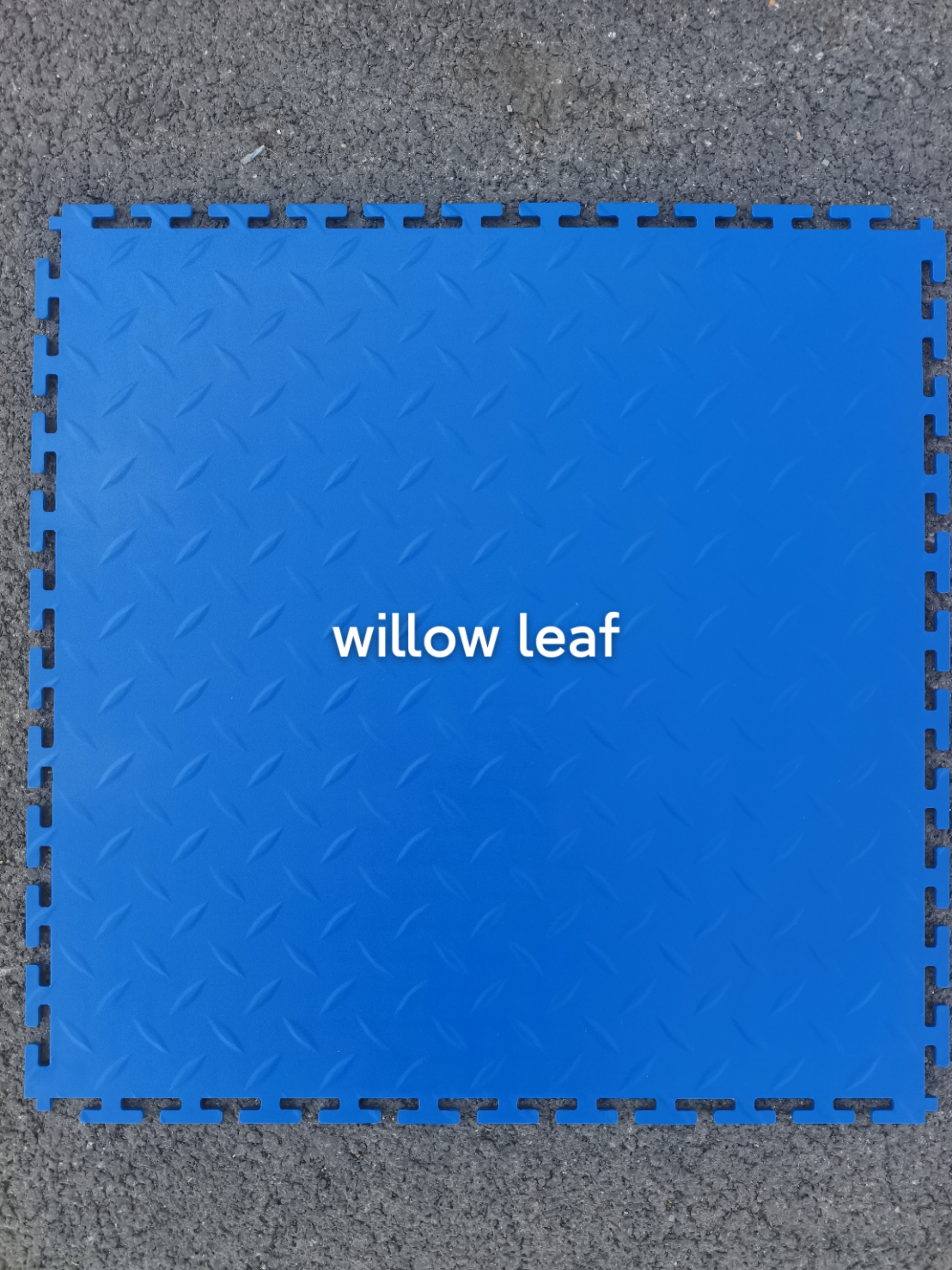 B1 Feuille de saule BLEUE