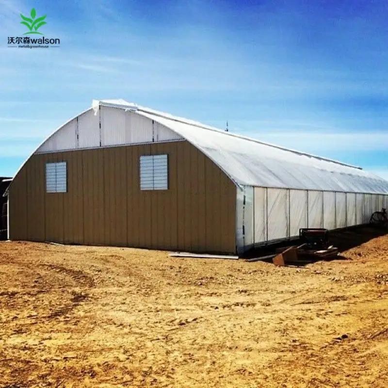 Long Service Life  easy to Install Agriculture Large Single-Span Greenhouses