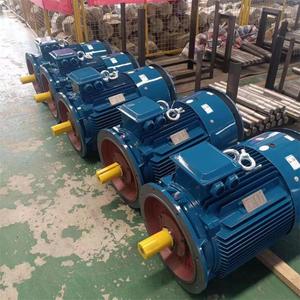 Kèm theo BLDC động cơ 30Kw ba giai đoạn điện động cơ cảm ứng - Product Image 3